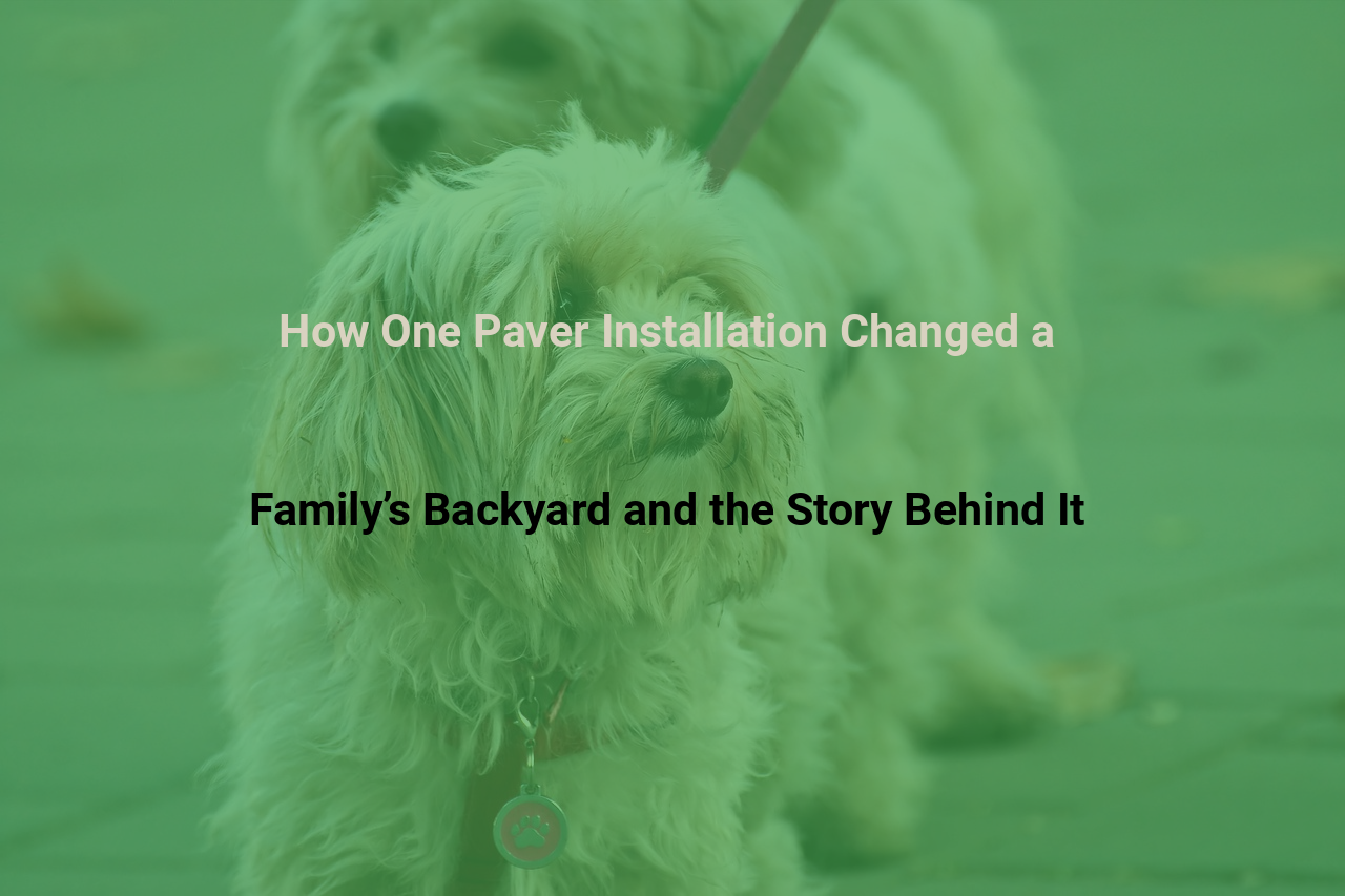 How One Paver Installation Changed a Familys Backyard and the Story Behind It