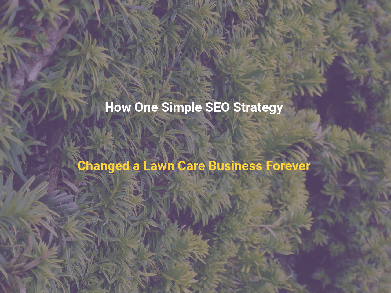 How One Simple SEO Strategy Changed a Lawn Care Business Forever