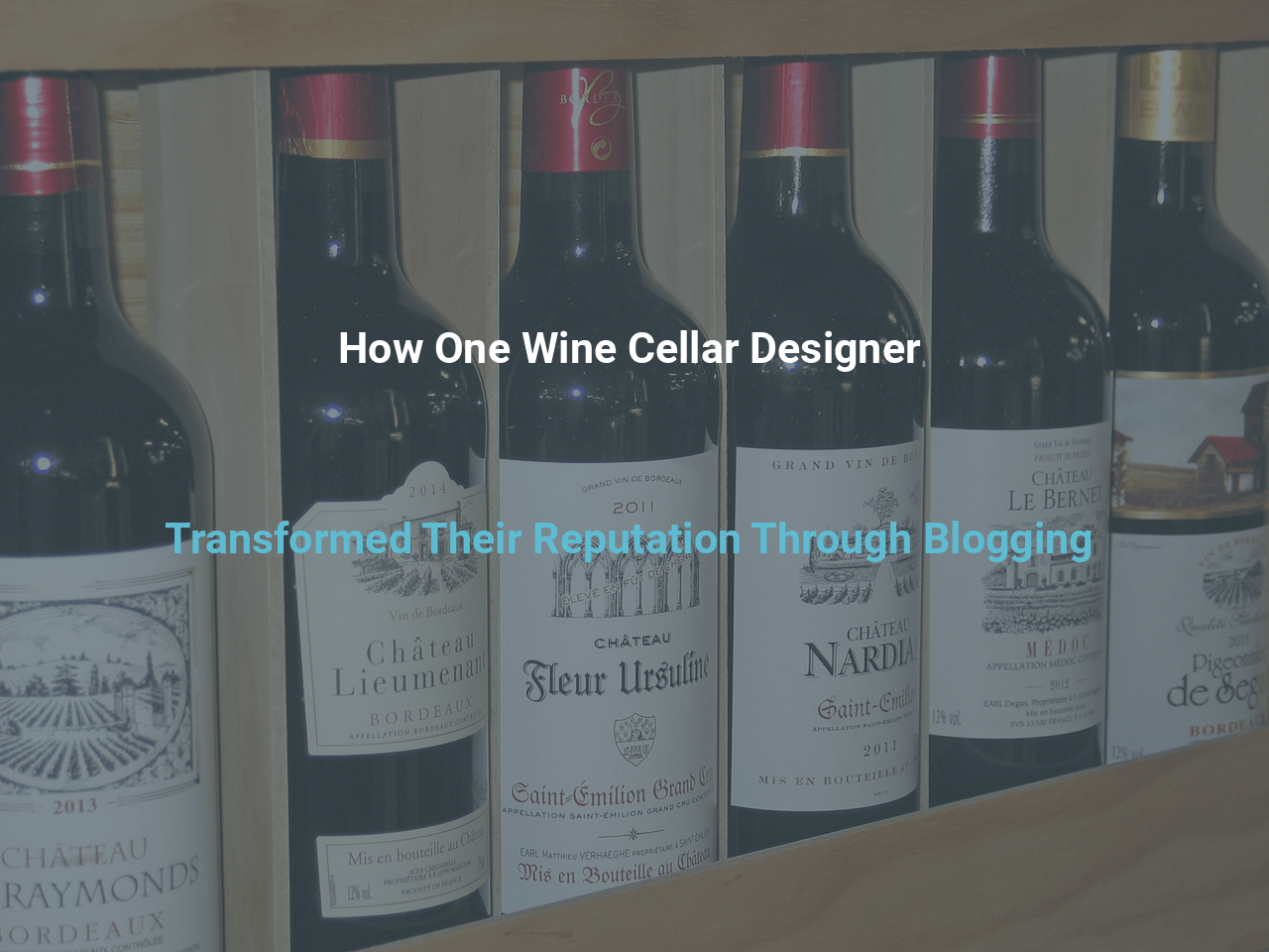 How One Wine Cellar Designer Transformed Their Reputation Through Blogging