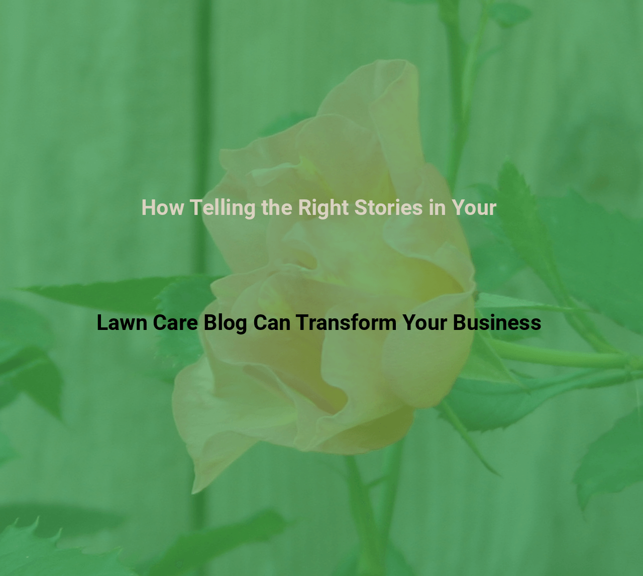 How Telling the Right Stories in Your Lawn Care Blog Can Transform Your Business